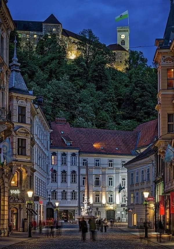 Apartment In The Heart Of Ljubljana Kültér fotó